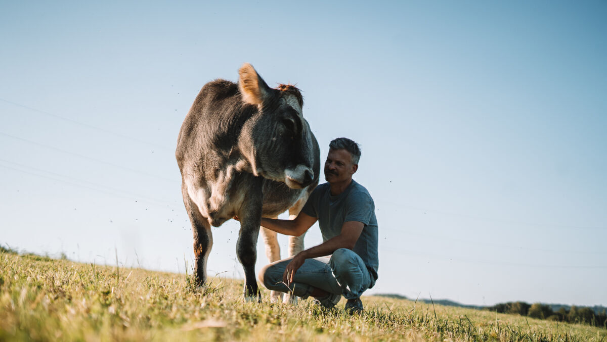 Veganuary Kampagne Vom Milchbetrieb Zur Kuschelk Nigin W V