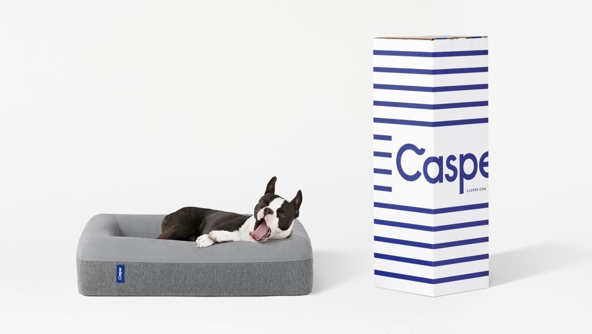Casper vermarktet jetzt auch Matratzen für Hunde W&amp;V