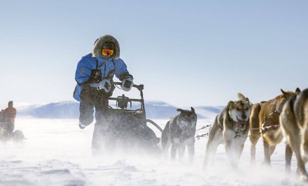 Mit Erlebnissen wie Fjällräven Polar schafft die schwedische Marke eine Brücke zwischen digitaler Welt und dem Erlebnis in der Natur: 300 km durch die arktische Wildnis, 180 gut ausgebildete Schlittenhunde, eine Handvoll Expertinnen und Experten sowie eine kleine Gruppe Menschen wie du und ich: Das ist der Fjällräven Polar.