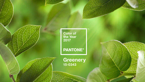 Die Farbe des Jahres heißt Pantone 15-0343 Greenery.